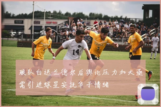 狼队白送兰德尔后舆论压力加大亟需引进球星安抚华子情绪
